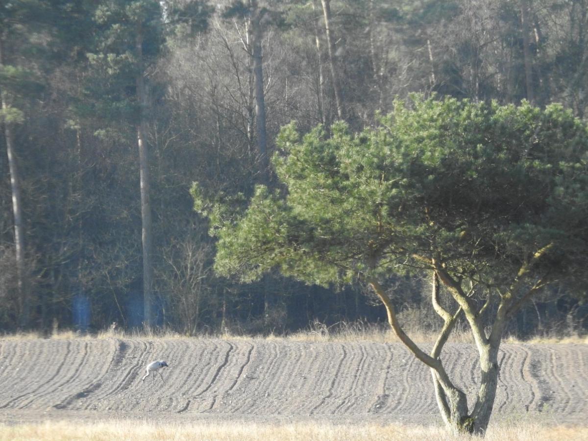 EngesvangRefshalegaard公寓 外观 照片