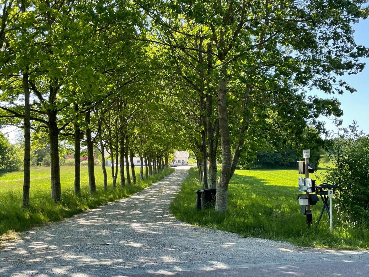 EngesvangRefshalegaard公寓 外观 照片